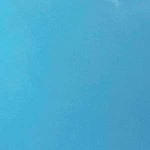 Meet your Posher, Fizza